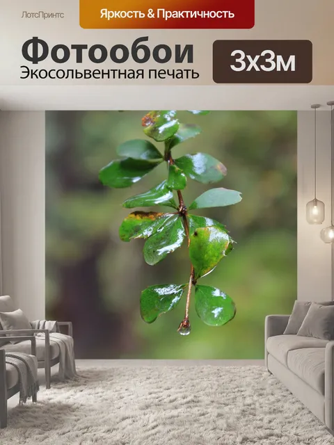 Фотообои Листья