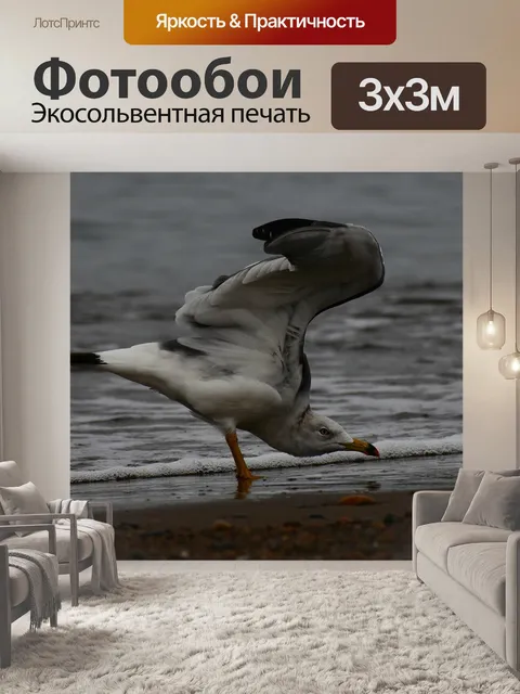 Фотообои Животное
