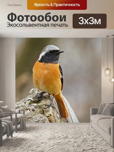 Фотообои Птица