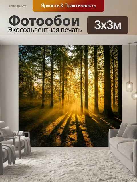 Фотообои градиент света в лесу
