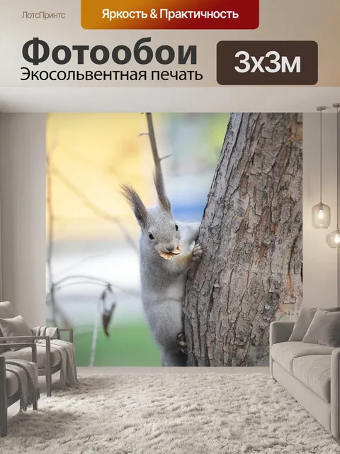 Фотообои Белка