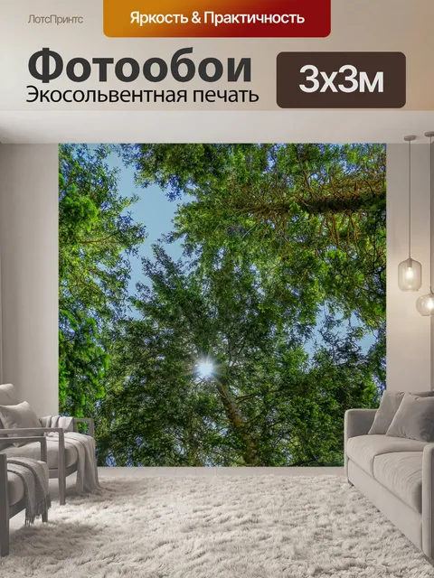 Фотообои Лес