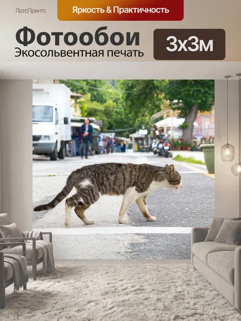 Фотообои Кошка