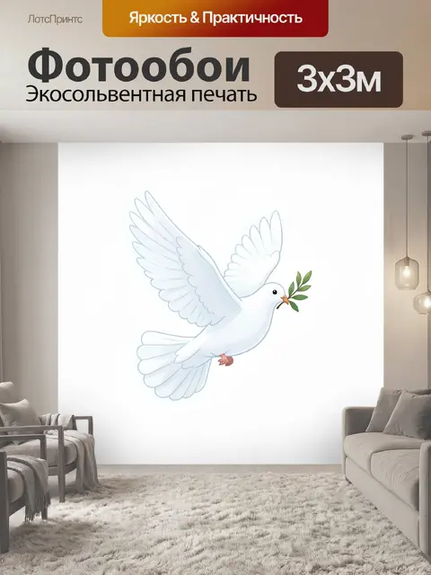 Фотообои Белый голубь с оливковой ветвью