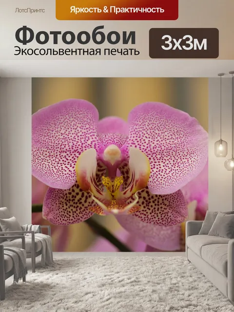 Фотообои Орхидея