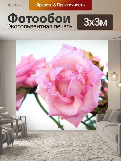 Фотообои Розовый наследие выросли