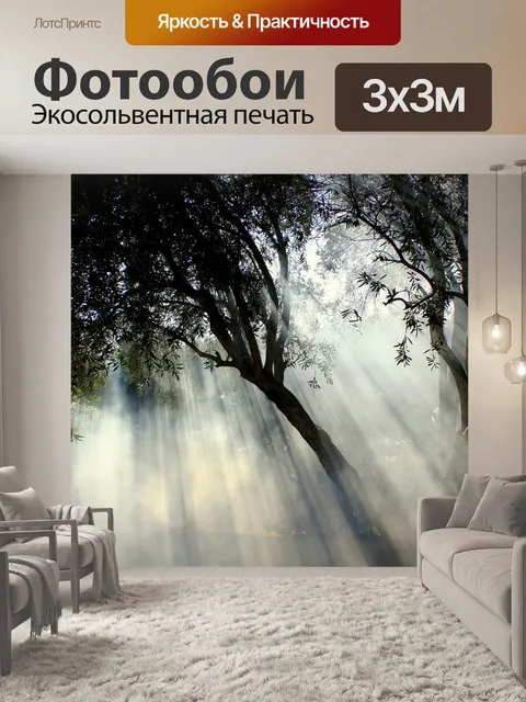 Фотообои Туманный