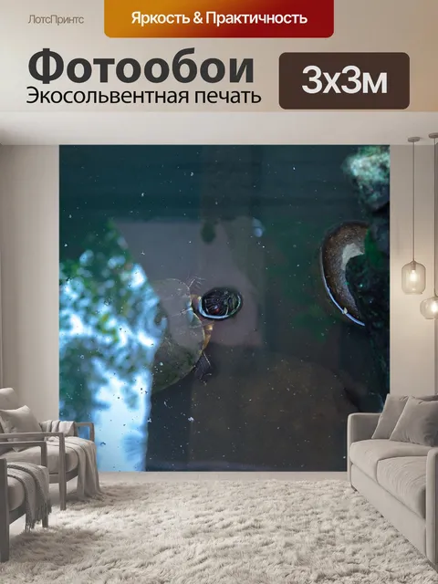 Фотообои Черепаха