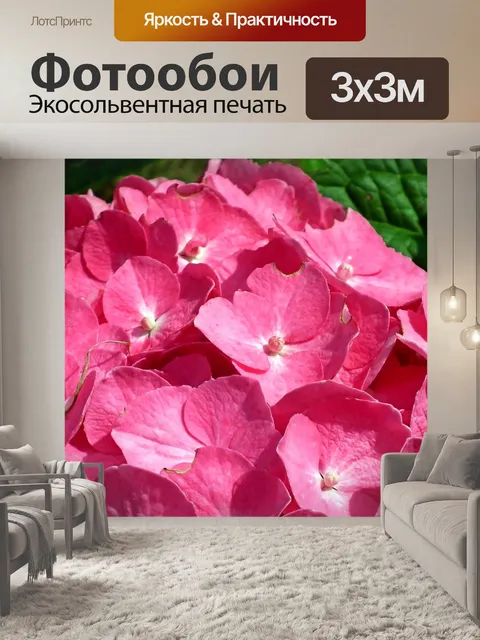 Фотообои Гортензии