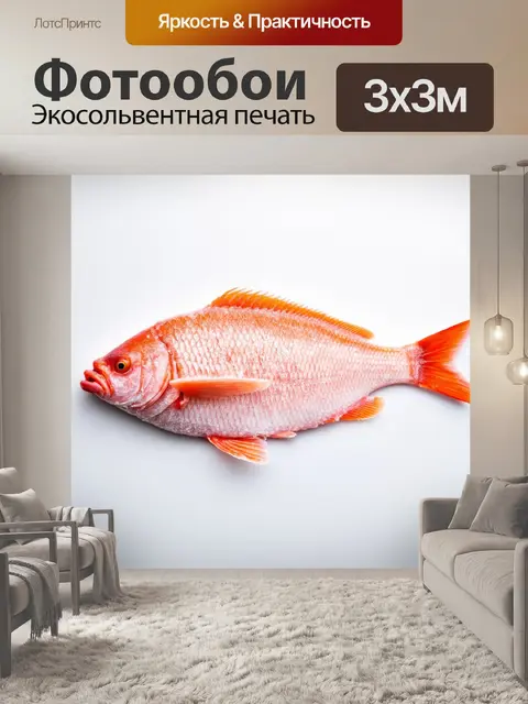 Фотообои замороженная рыба на белом фоне в стиле минимализма