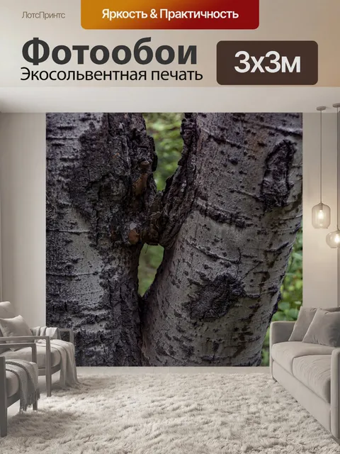 Фотообои Целующиеся деревья