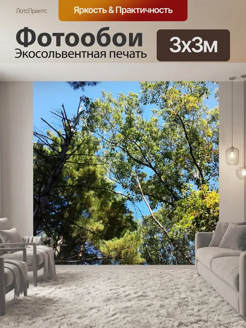 Фотообои Природа