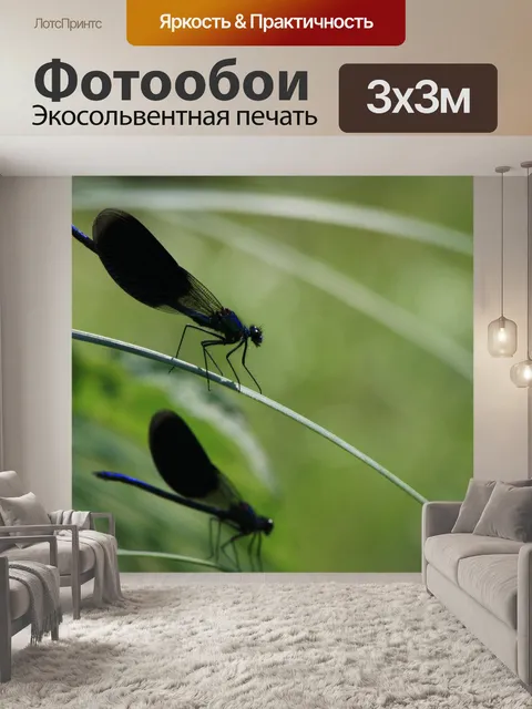 Фотообои Стрекозы