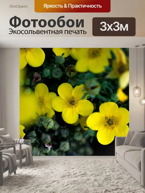 Фотообои Цветы