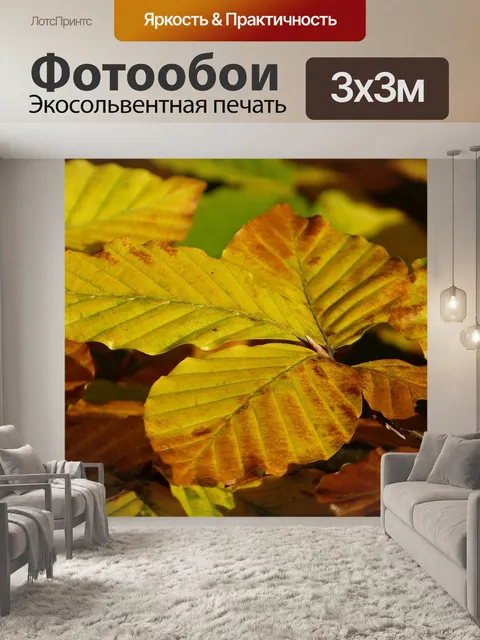 Фотообои Бук