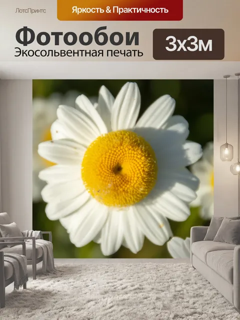 Фотообои Цветы