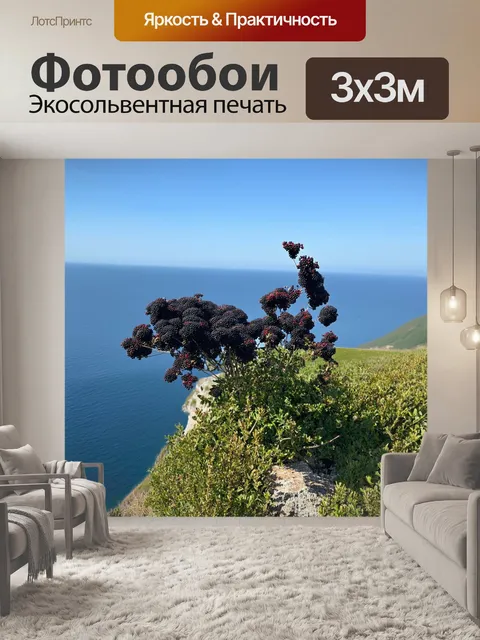 Фотообои на высоком утесе, обрывающемся к морю, бузина растет среди черного самбука, с лёгким ветерком, который…