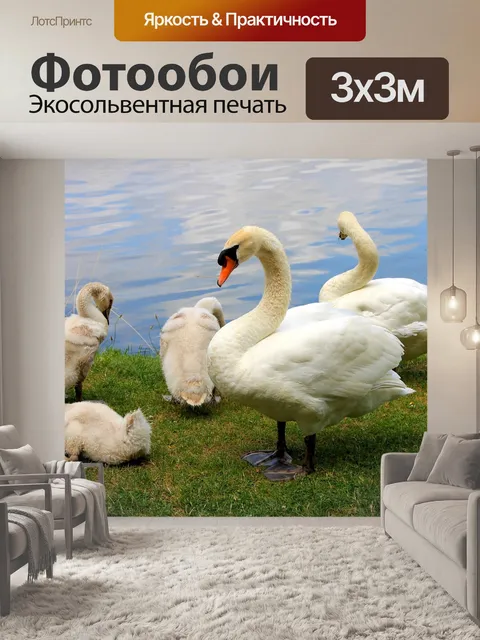Фотообои Лебеди