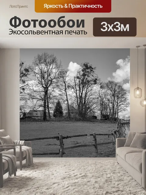 Фотообои Черно-белый
