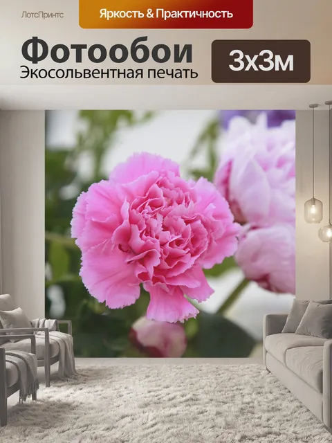 Фотообои Цветы