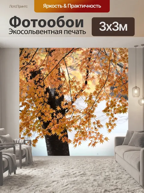 Фотообои Осенние листья