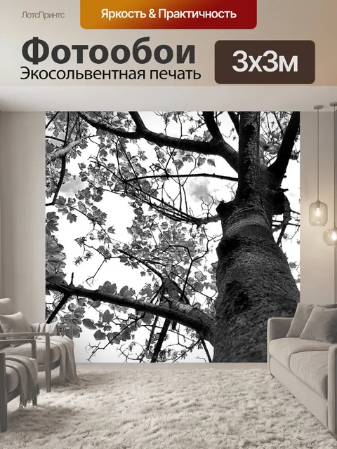 Фотообои пологом деревьев