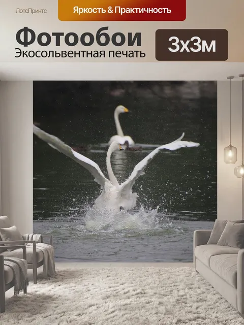 Фотообои Лебеди