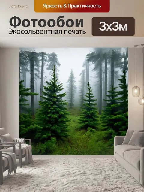 Фотообои снедаемый туманом, величественный еловый лес раскрывает свои тайны только для любопытных глаз