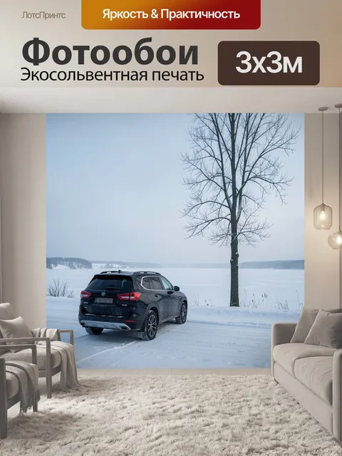 Фотообои Черный кроссовер у зимнего озера