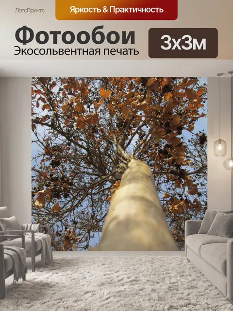 Фотообои Дерево Перспектива 49