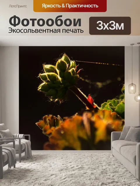 Фотообои Бутон