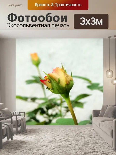 Фотообои Цветы