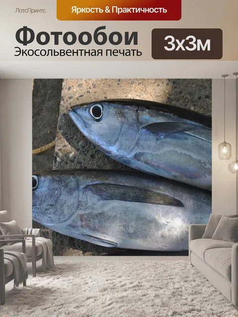 Фотообои Рыбы