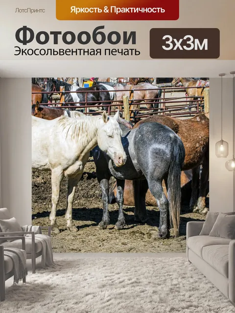 Фотообои лошадь