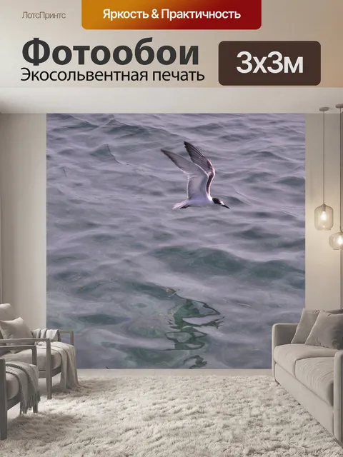 Фотообои Полет