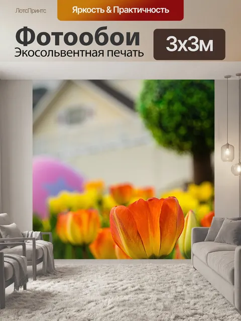 Фотообои Тюльпан