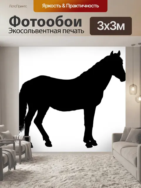 Фотообои Силуэт лошади