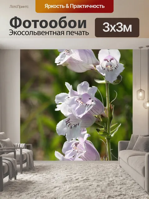 Фотообои Бородатые фоксглавы Полевые цветы