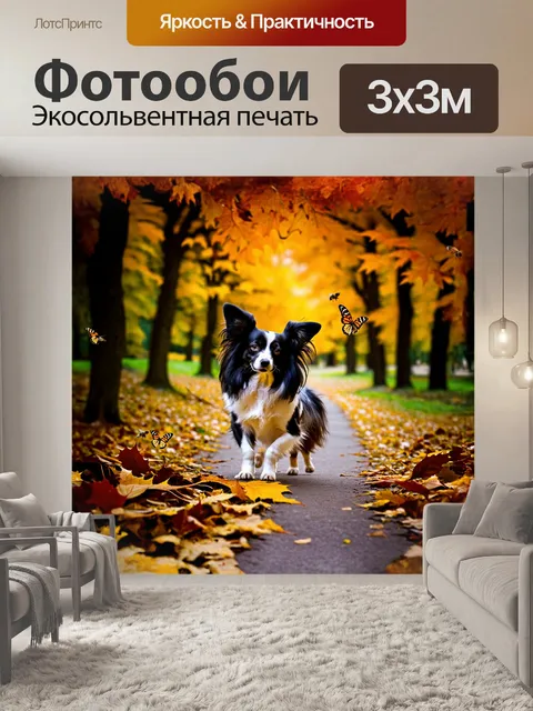 Фотообои папильон исследует парковую тропинку