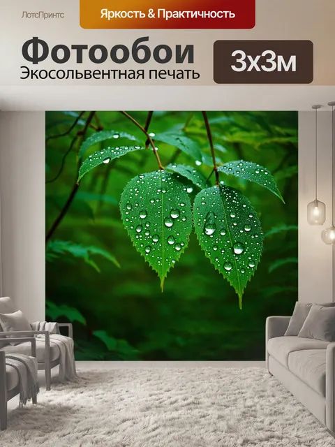 Фотообои лес с ювелирными каплями росы на листьях