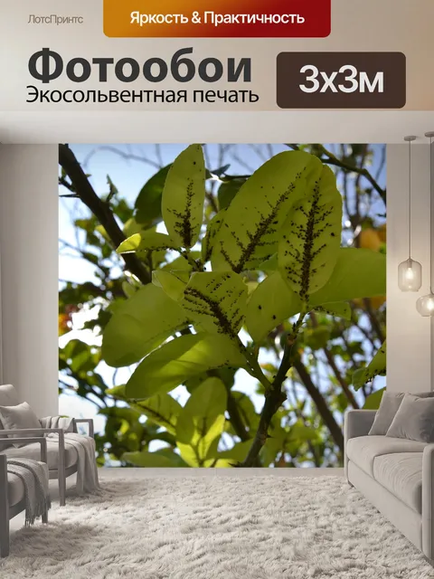 Фотообои Лист