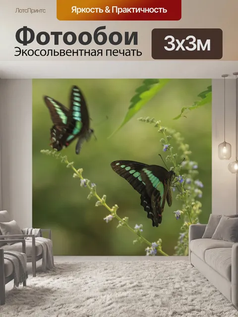 Фотообои Бабочки