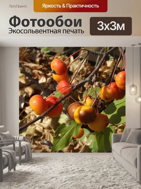 Фотообои Дерево