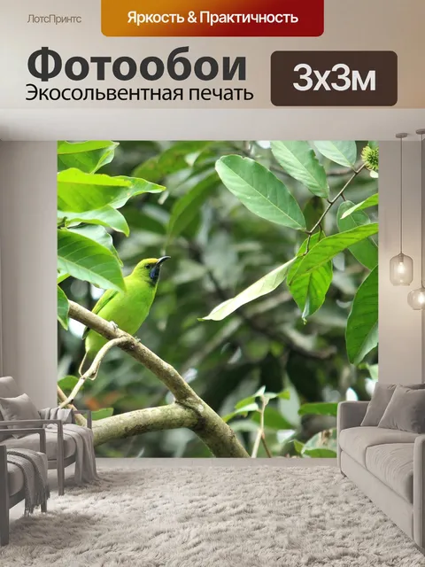 Фотообои Птица