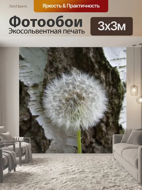 Фотообои Одуванчик