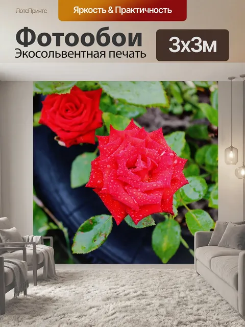 Фотообои Дождь