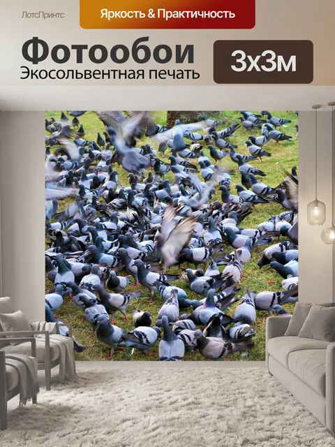 Фотообои Птицы