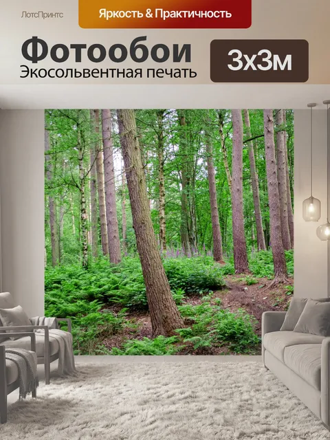 Фотообои Лес