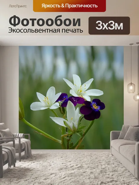 Фотообои Цветы