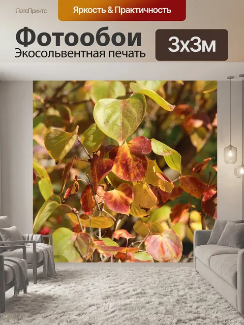 Фотообои Дерево